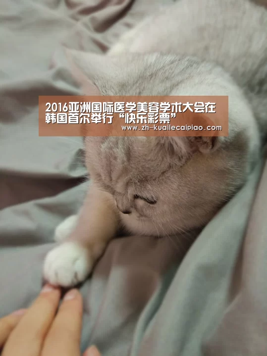 2016亚洲国际医学美容学术大会在韩国首尔举行“快乐彩票”(图2) 快乐彩票