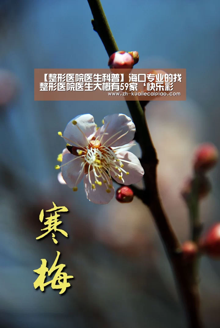 【整形医院医生科普】海口专业的找整形医院医生大概有59家‘快乐彩票’(图2) 快乐彩票
