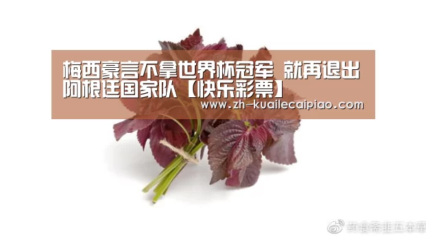 梅西豪言不拿世界杯冠军 就再退出阿根廷国家队【快乐彩票】(图4) 快乐彩票